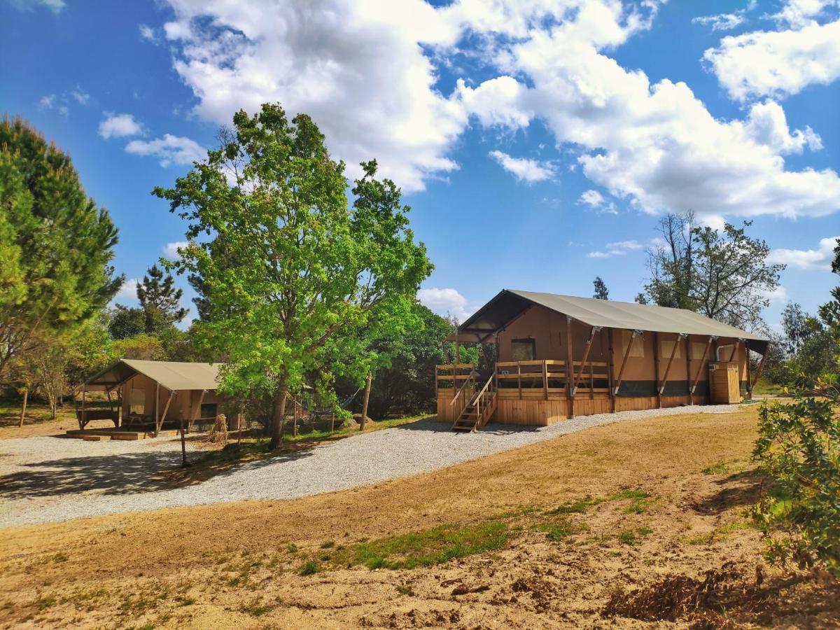 Tábua Quinta Dos Corgos B&B 외부 사진