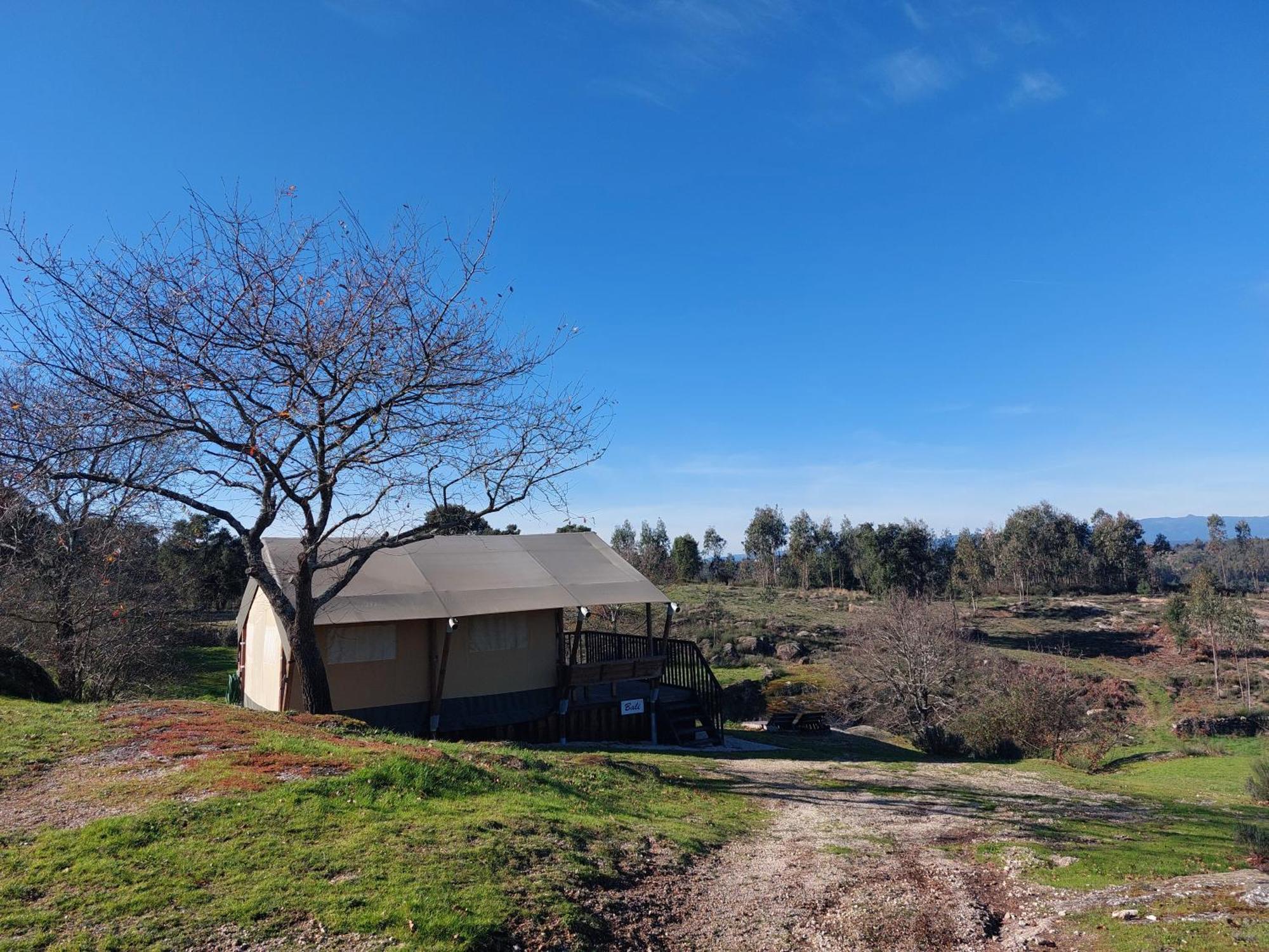 Tábua Quinta Dos Corgos B&B 객실 사진
